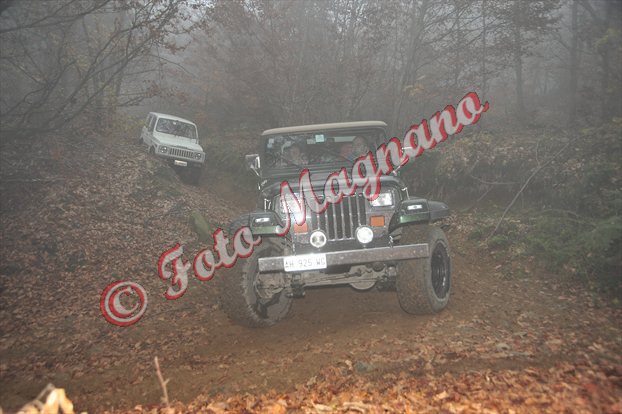 DSC_3741.jpg